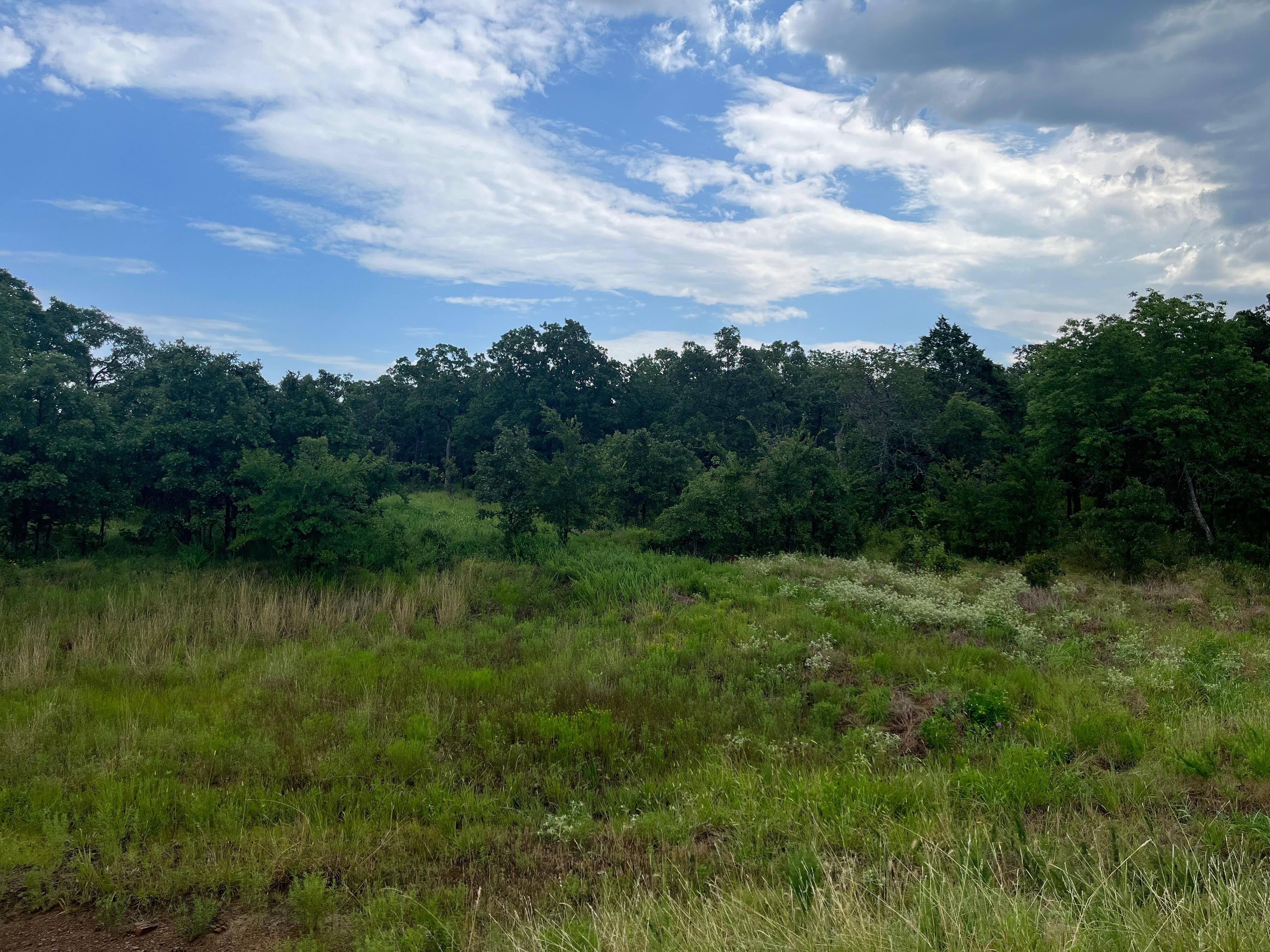 50 acres in McIntosh County, Oklahoma