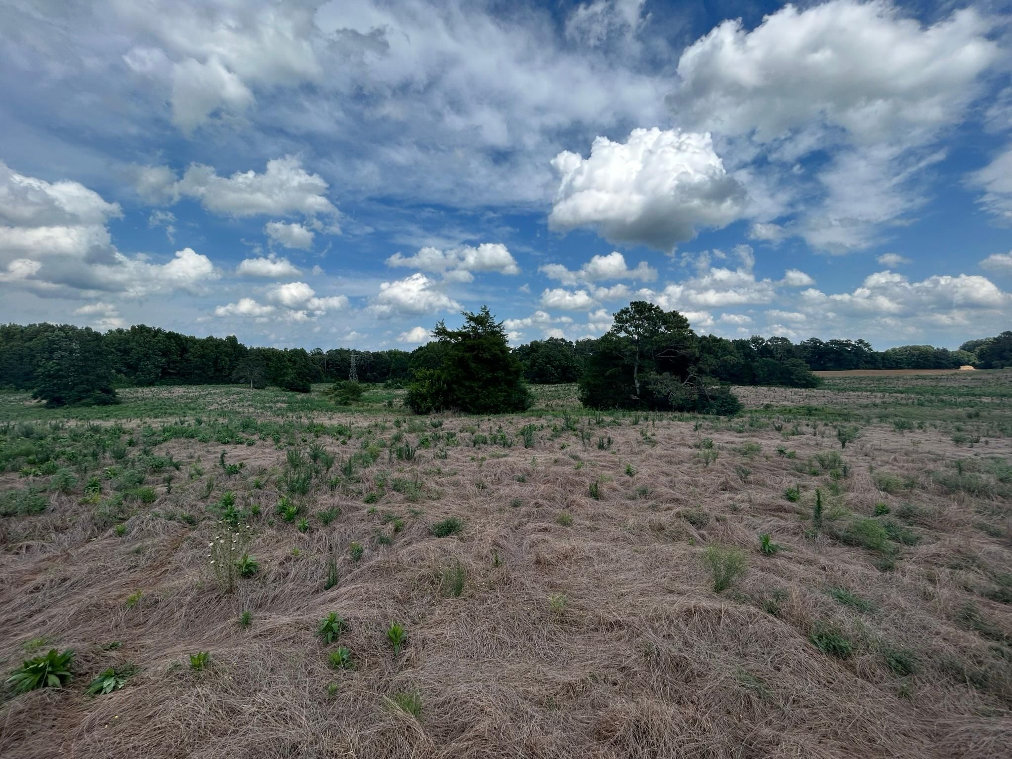 6039 Bush River Road, Newberry, SC 29108