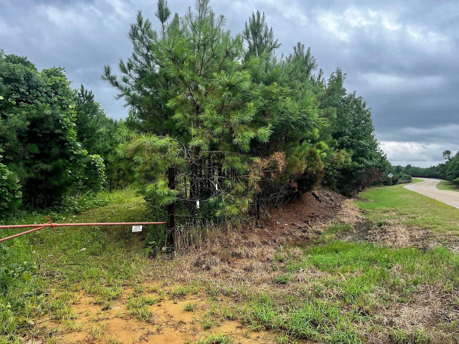 17 acres in Prentiss County, Mississippi