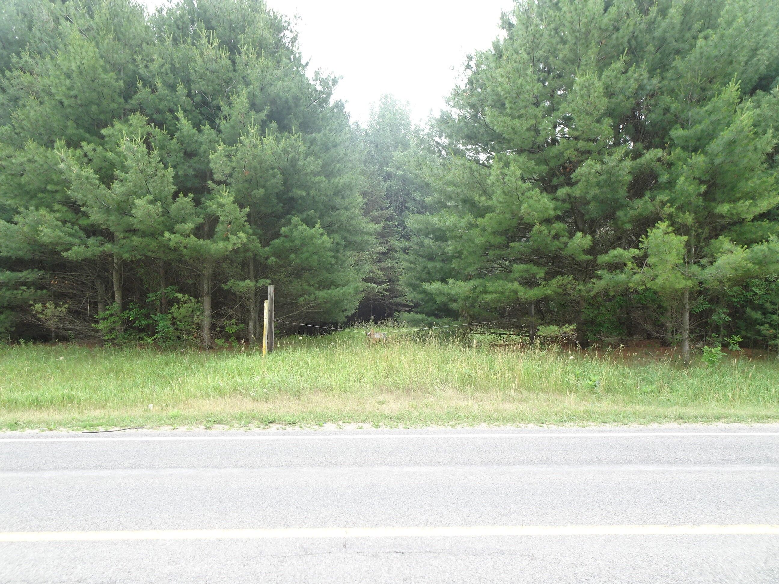 40 acres in Mason County, Michigan