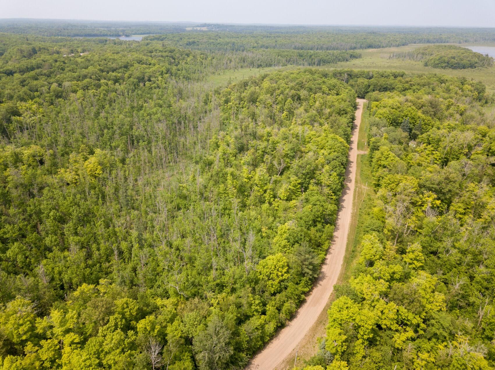 2.23 acres in Crow Wing County, Minnesota