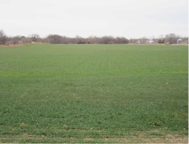 80 acres in Grant County, Oklahoma