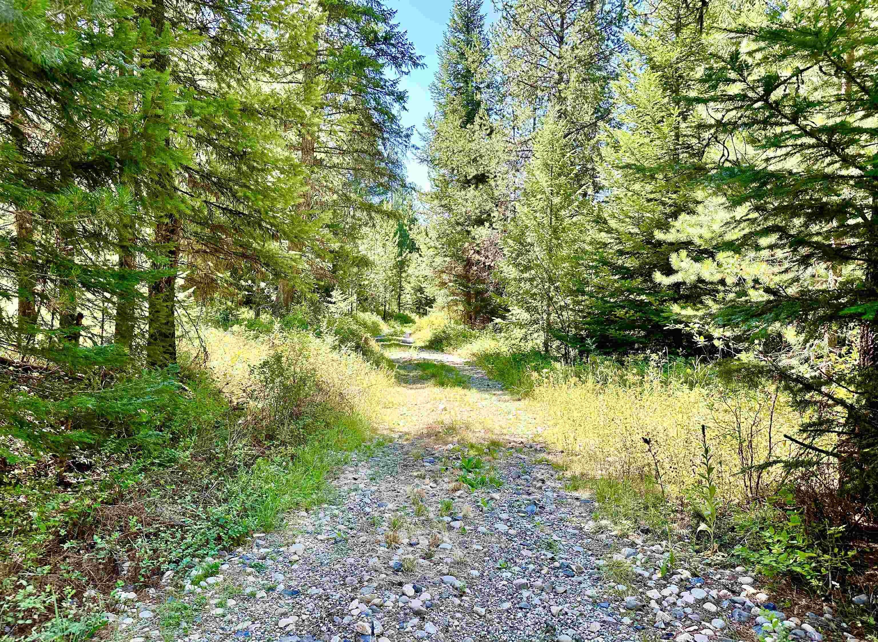 25 acres in Stevens County, Washington