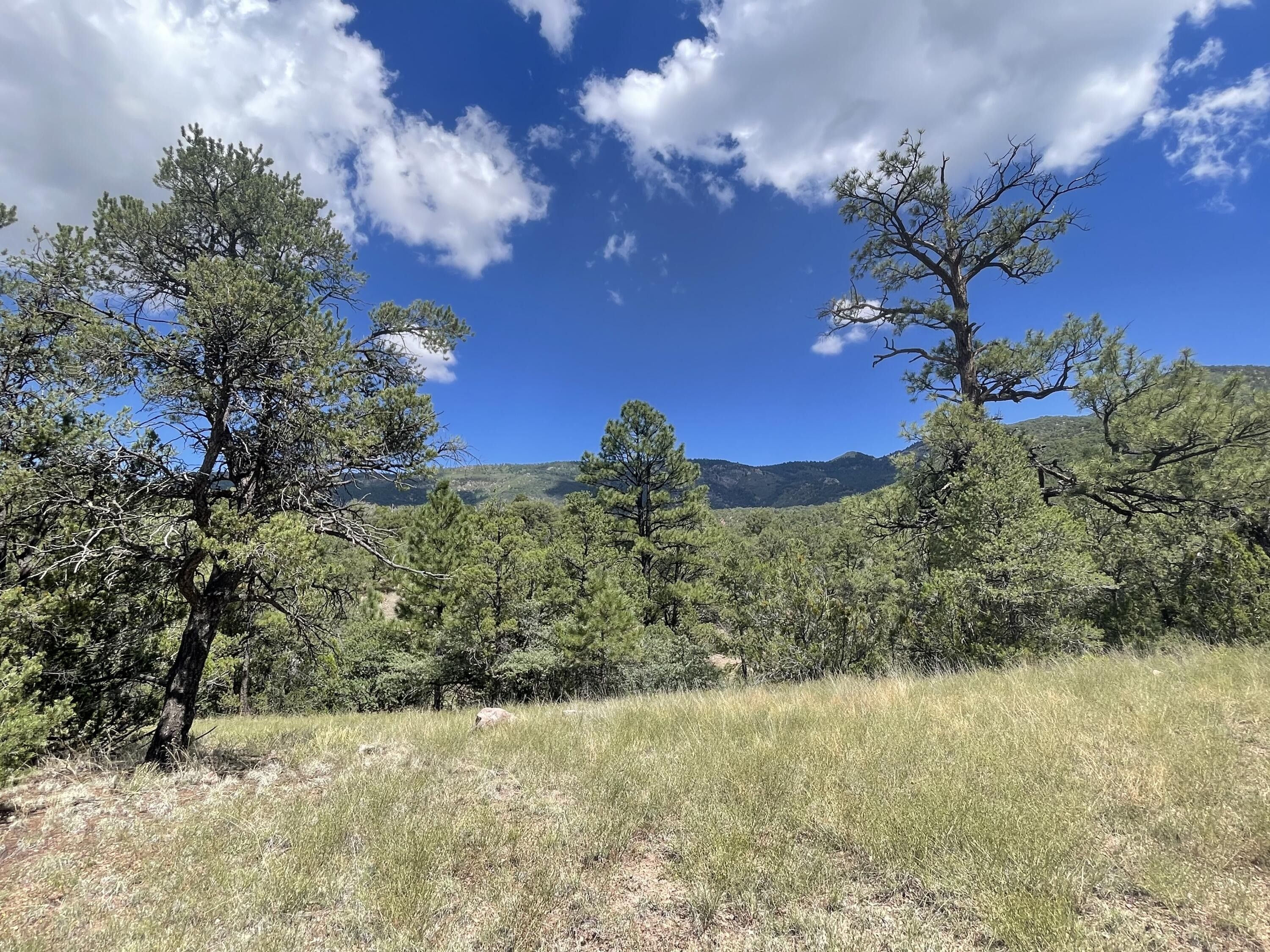 9.76 acres in Socorro County, New Mexico