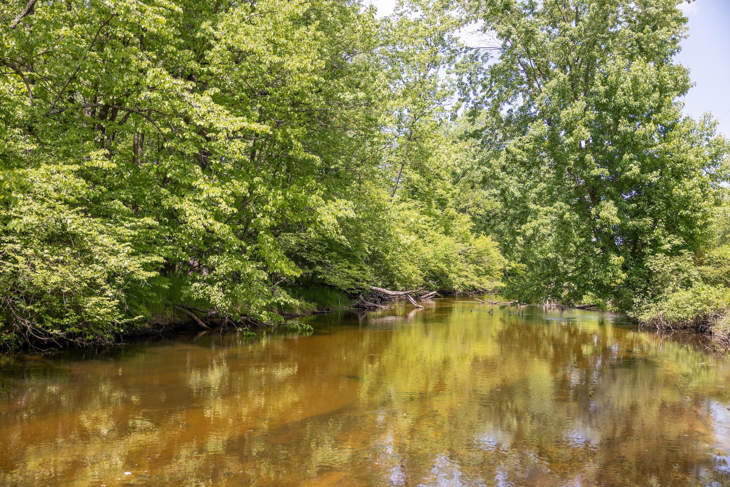 10 acres in Oceana County, Michigan