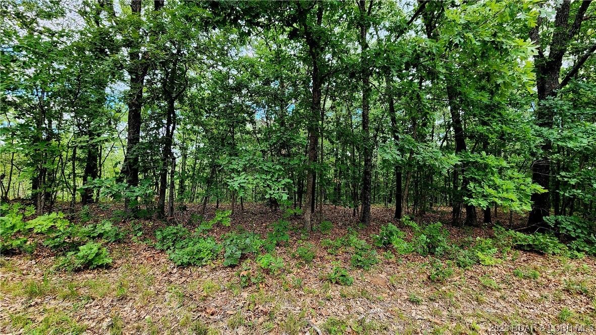 4.78 acres in County, Missouri