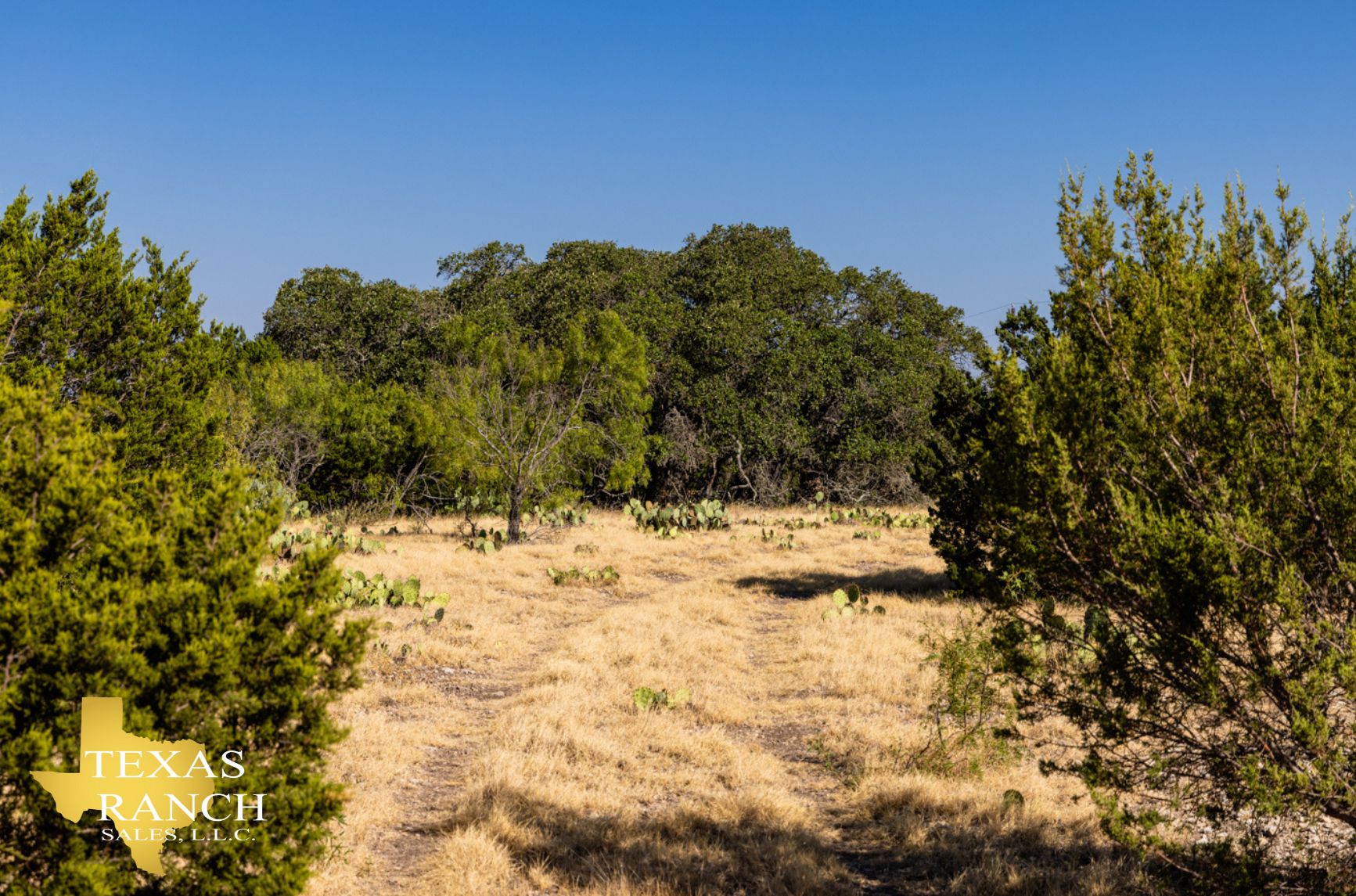 100 acres in Rocksprings, TX, 78880