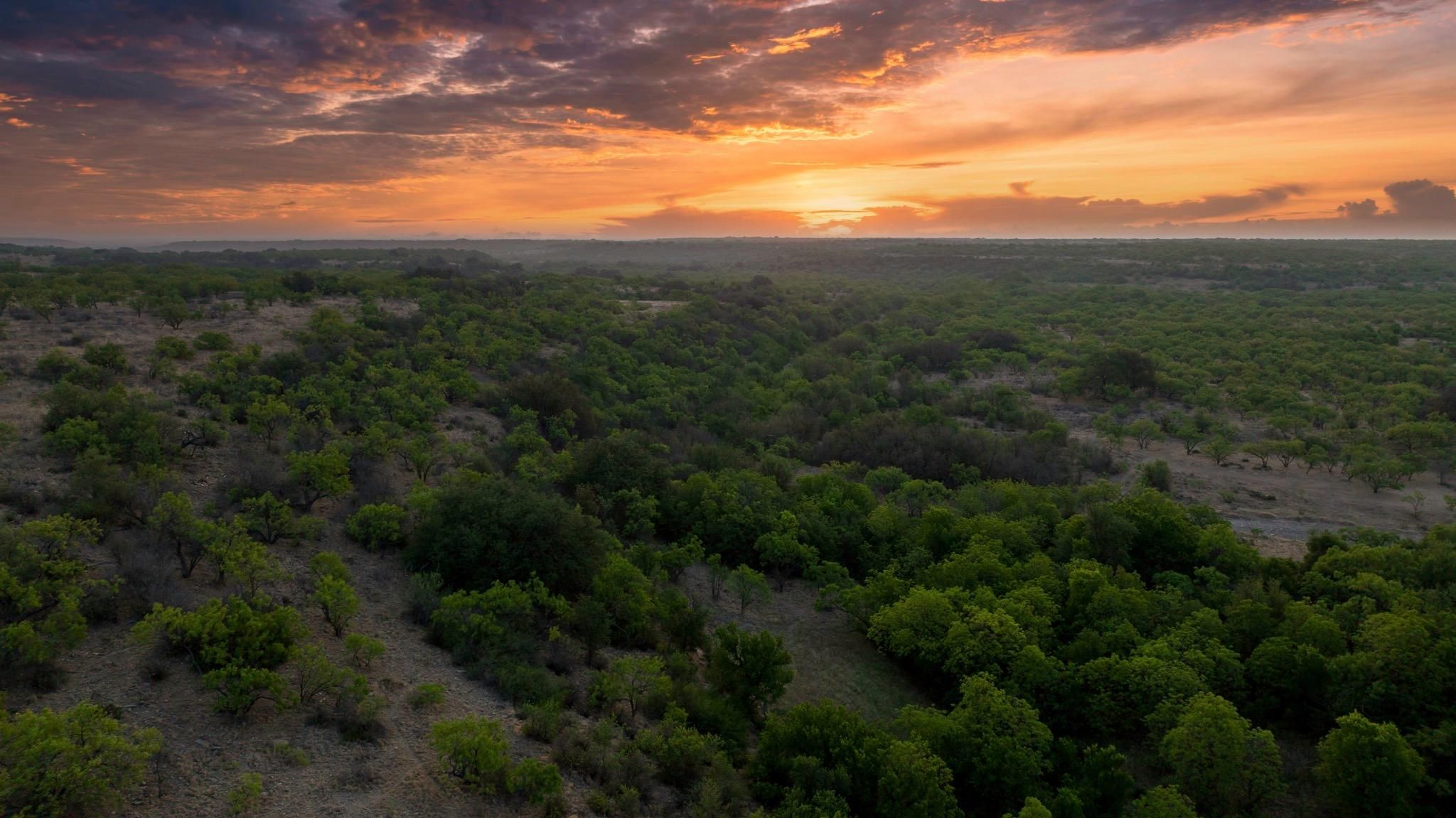 516 acres in Novice, TX, 79538