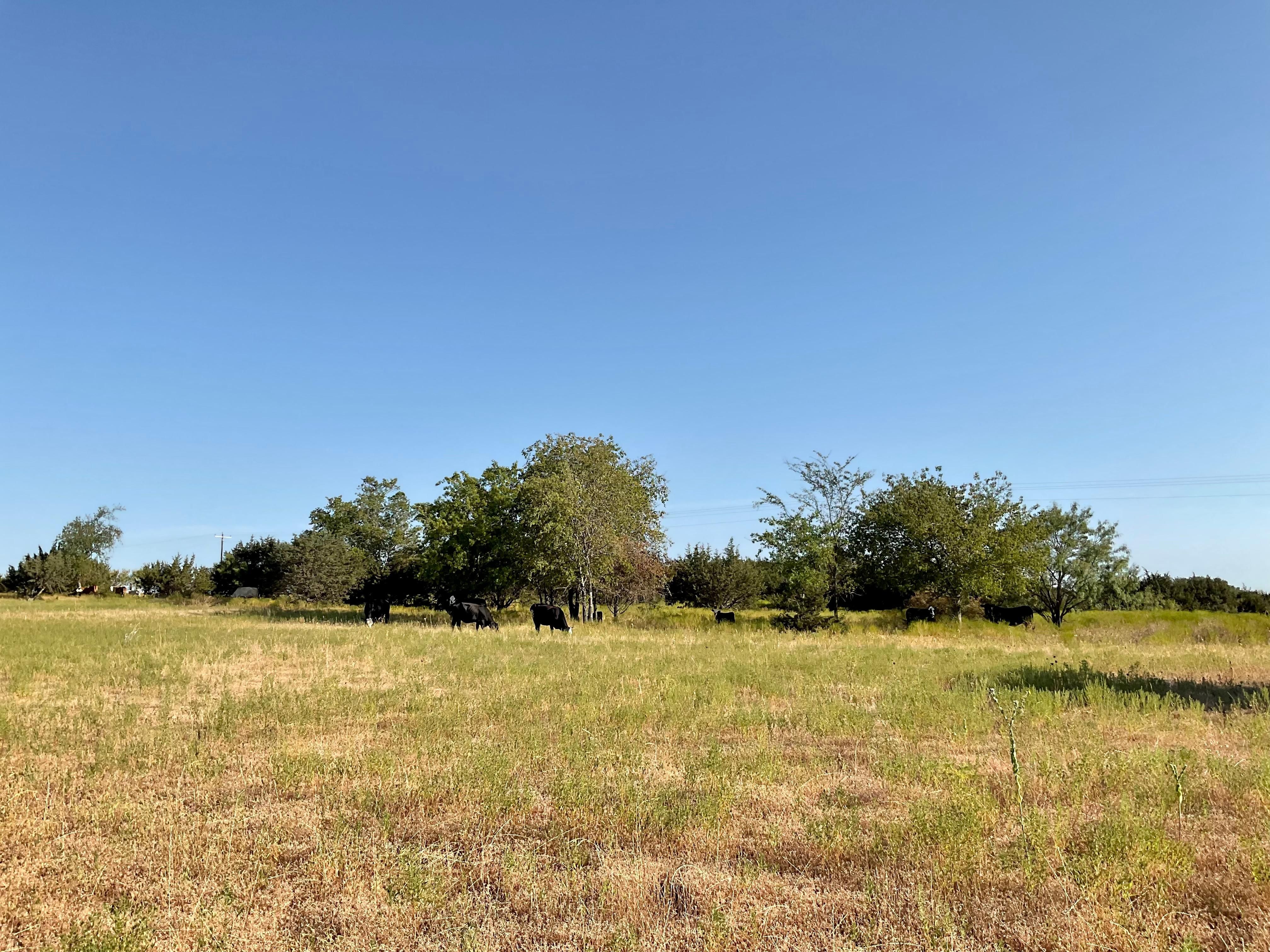 23 acres in Coryell County, Texas