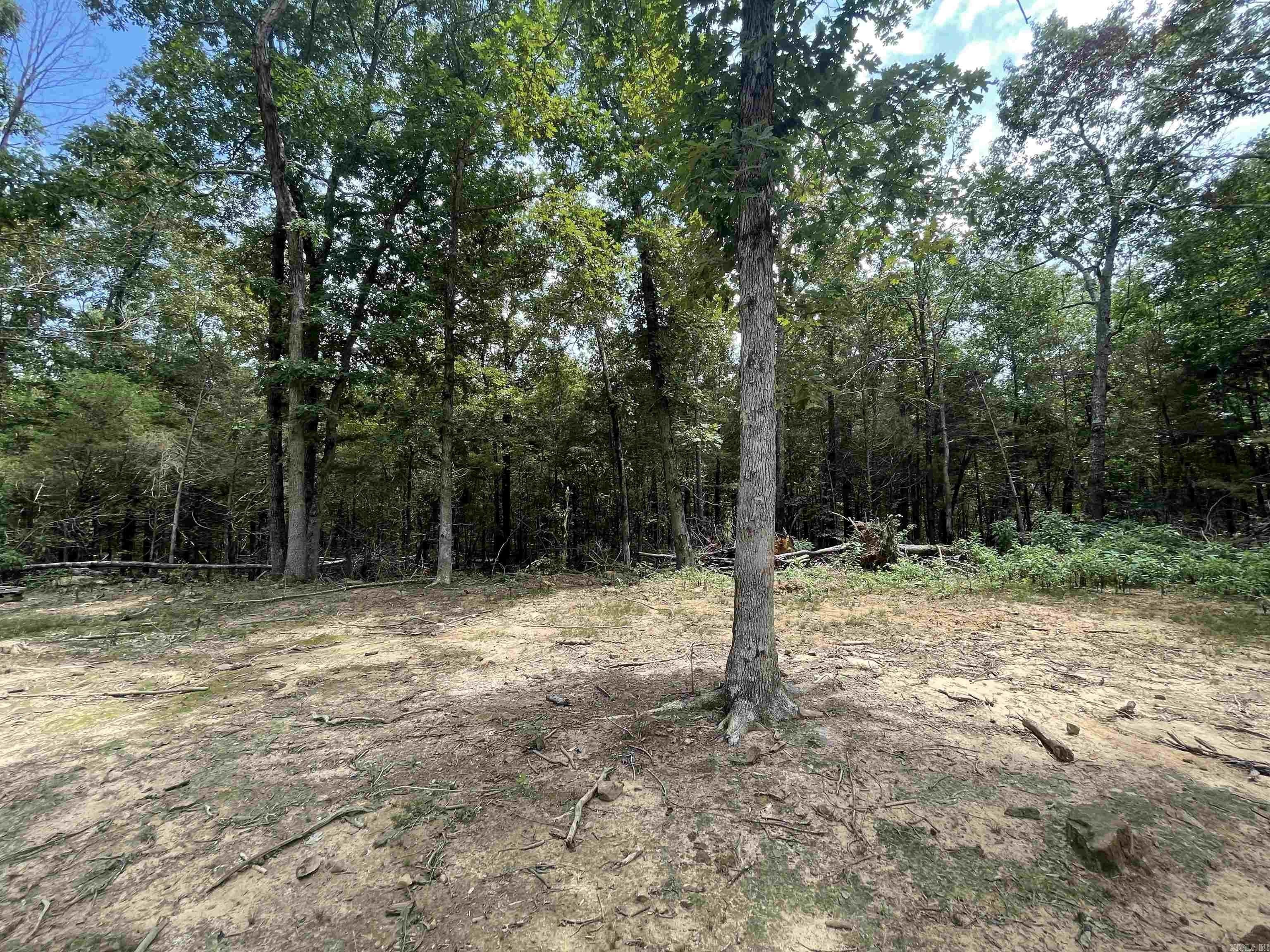 10 acres in Stone County, Arkansas