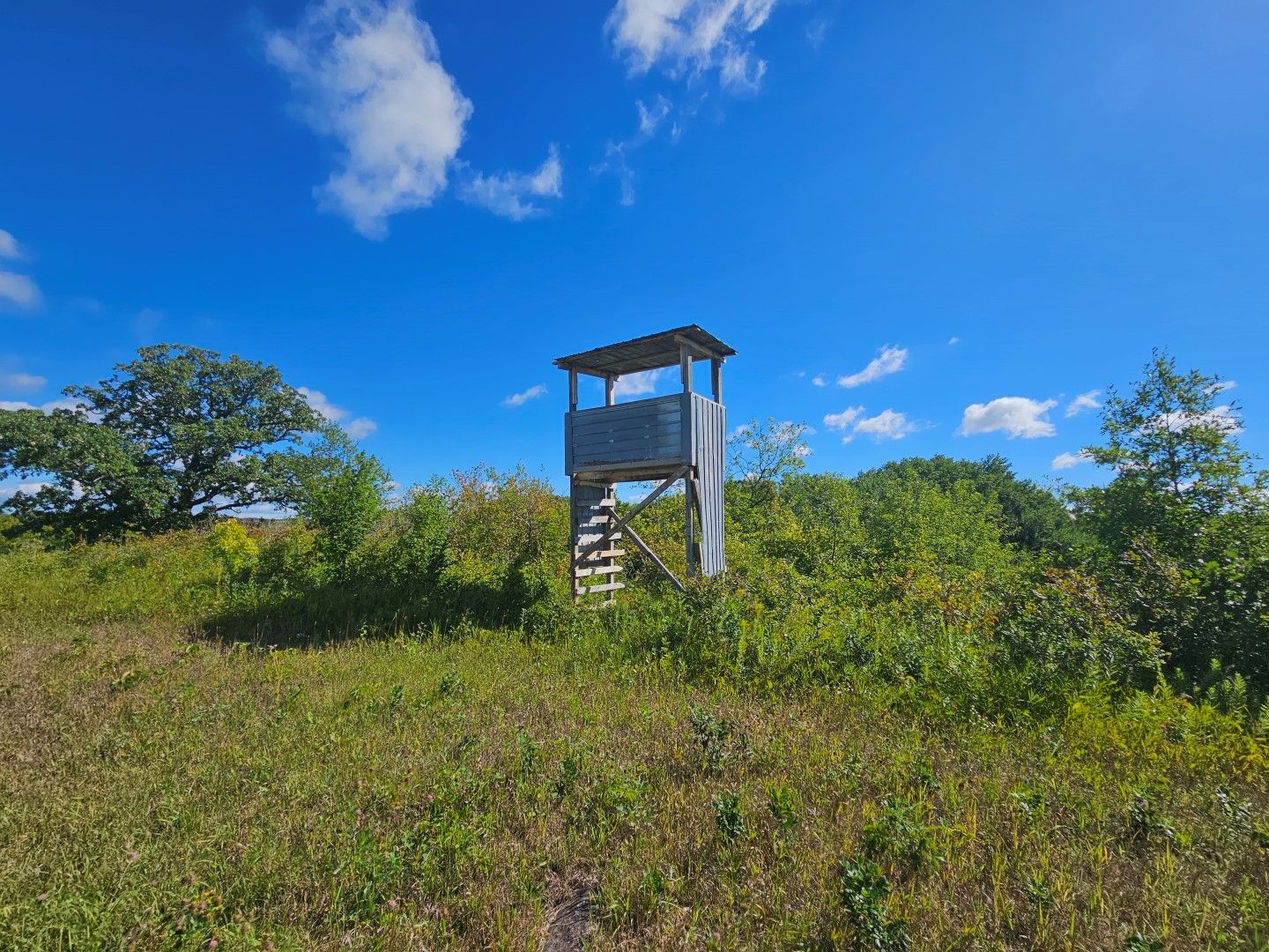 80 acres in Otter Tail County, Minnesota