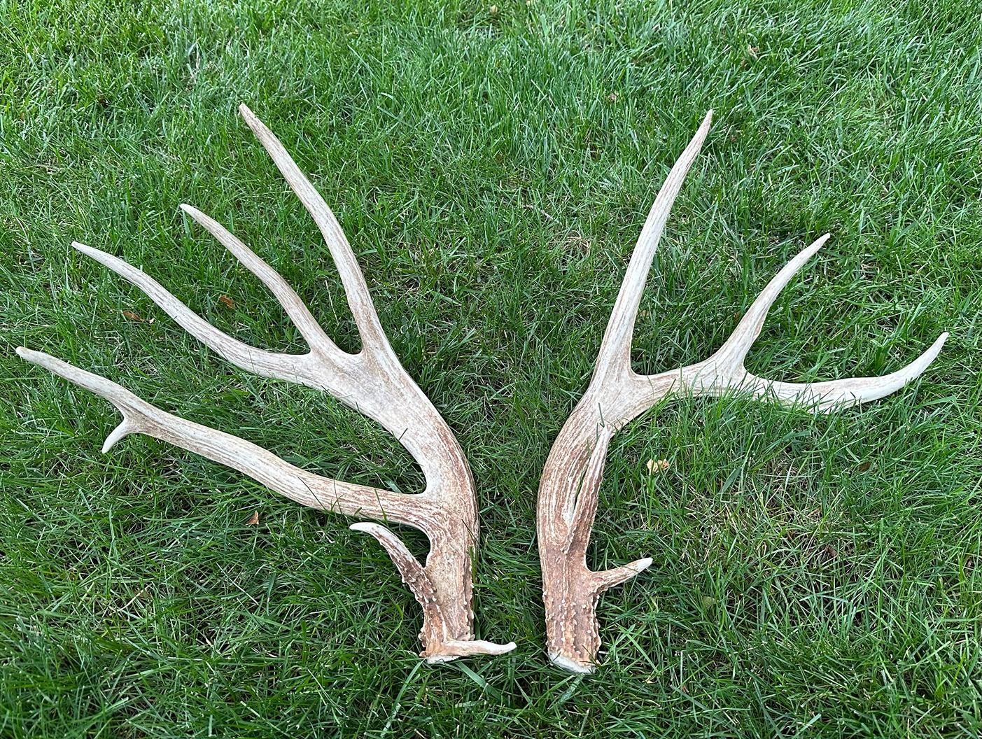 144 acres in Osage County, Kansas