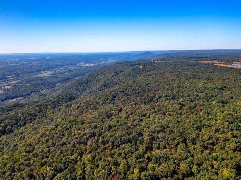 20 acres in Rhea County, Tennessee