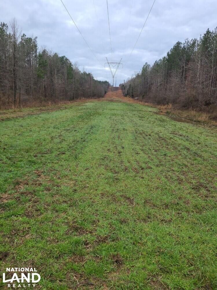196 acres in Hale County, Alabama