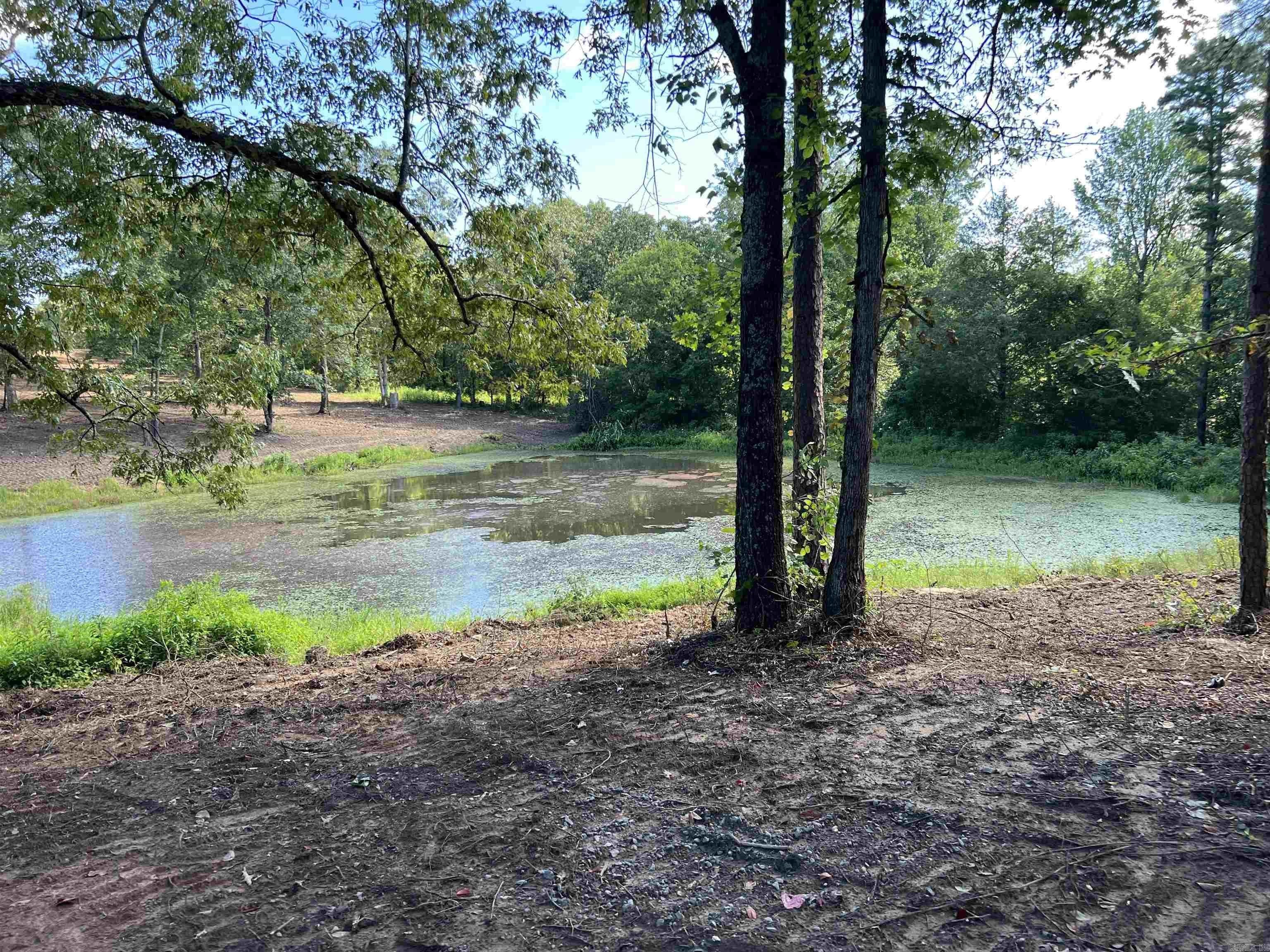 55 acres in Cleburne County, Arkansas