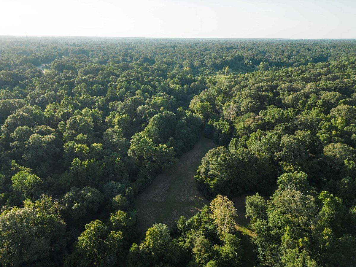 85 acres in Yazoo County, Mississippi