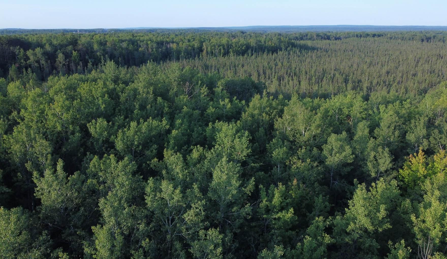 Beaver Brook Rd, Radisson, WI 54867