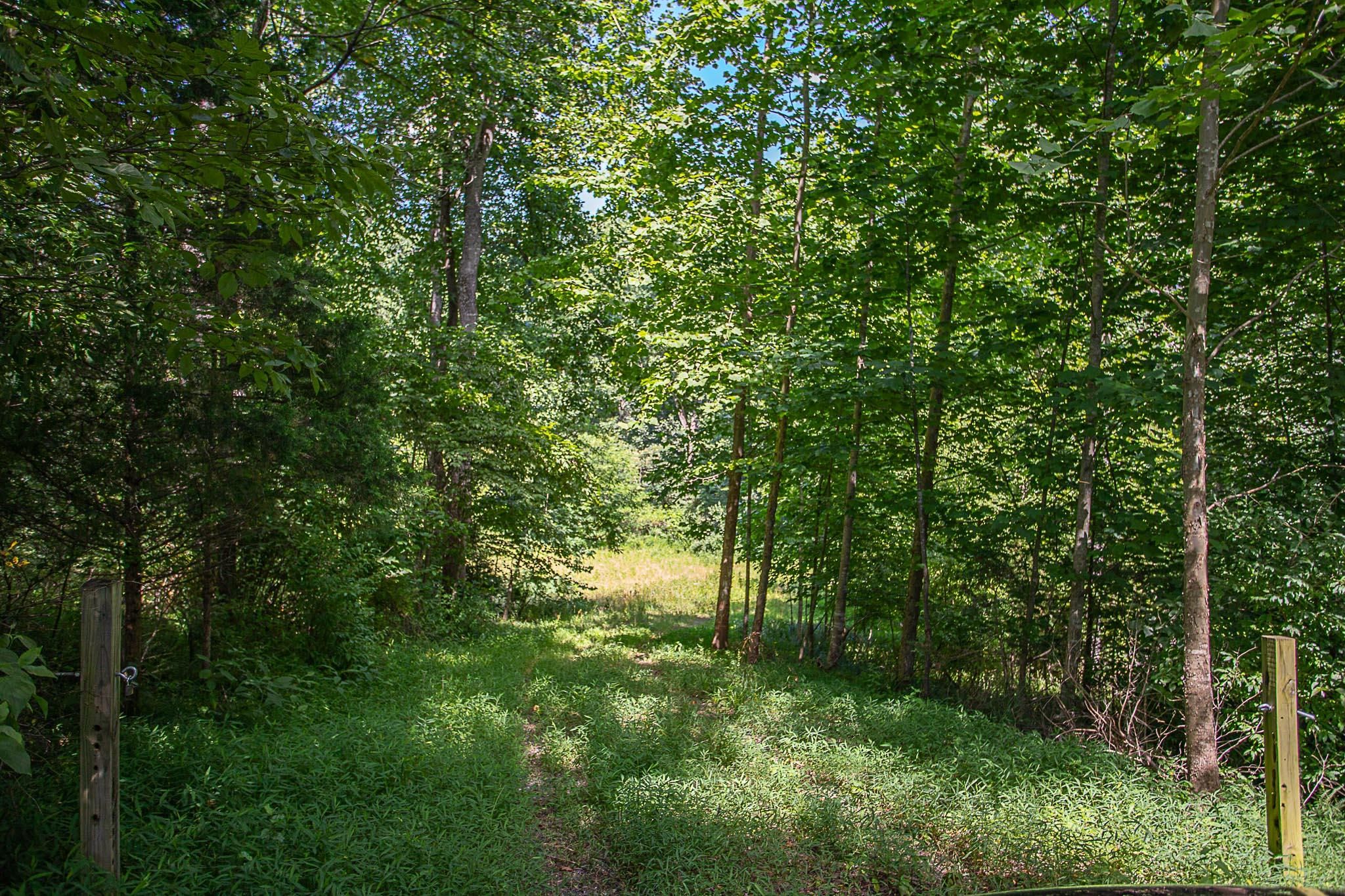 3.03 acres in Madison County, Virginia