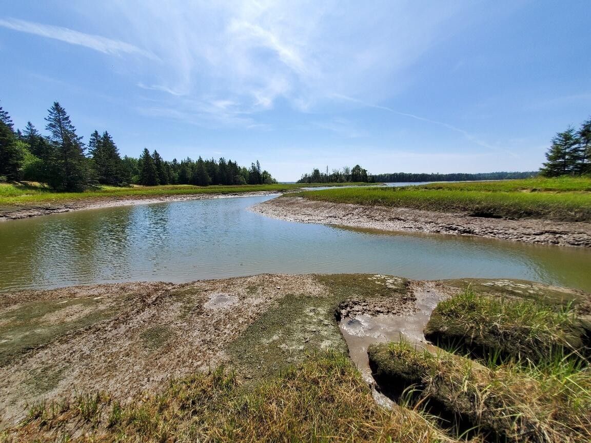 15 acres in Washington County, Maine