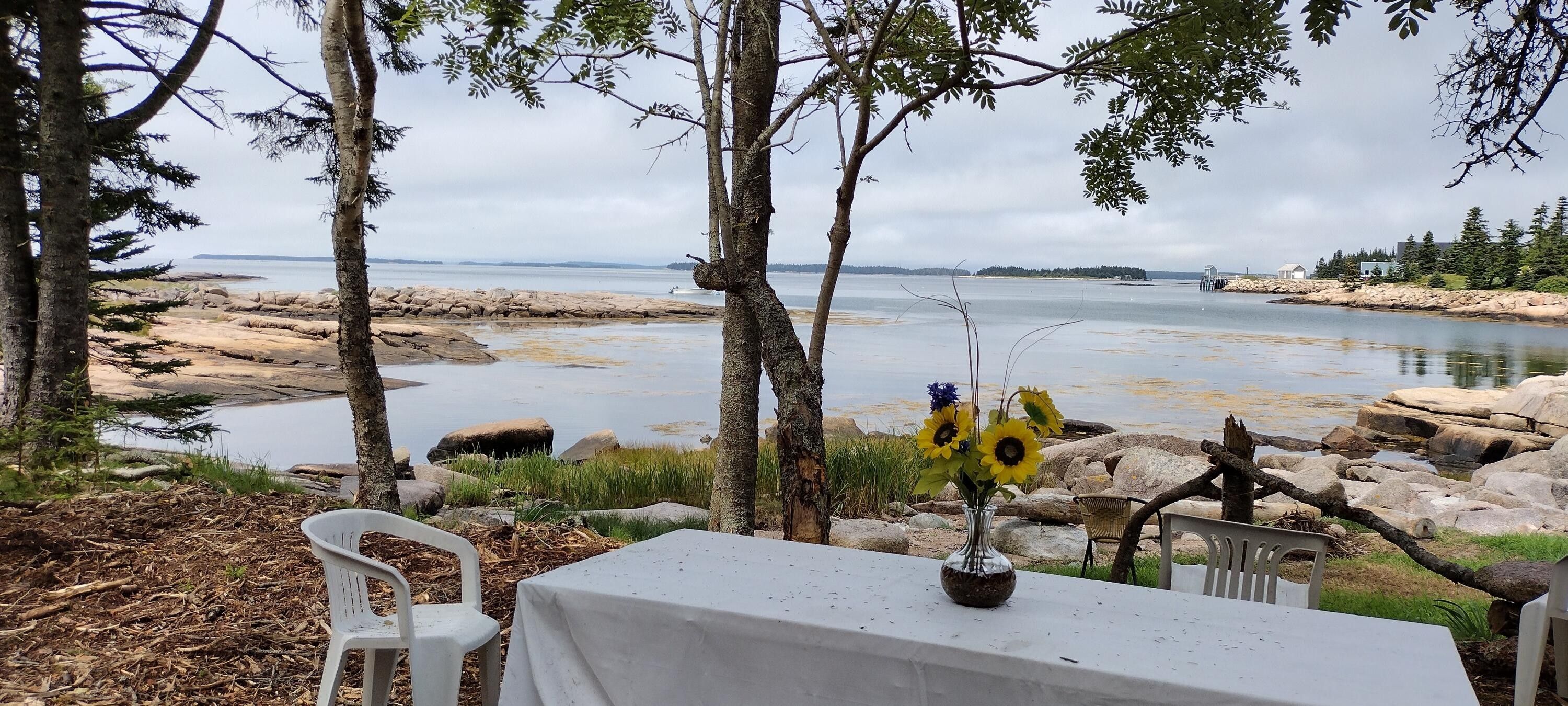 10.59 acres in Washington County, Maine