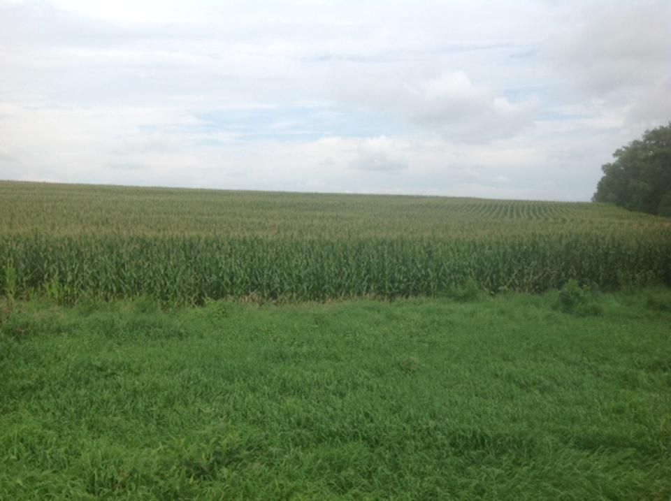 269.73 acres in Lancaster County, Nebraska
