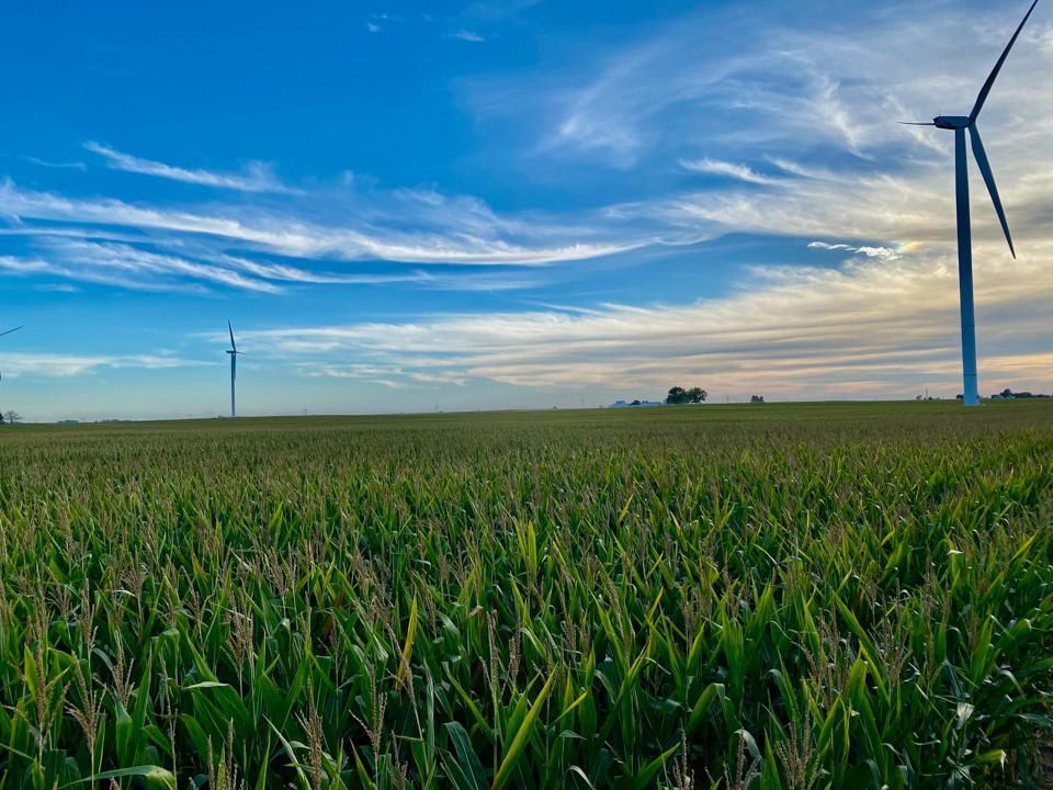 60 acres in Rippey, IA, 50107