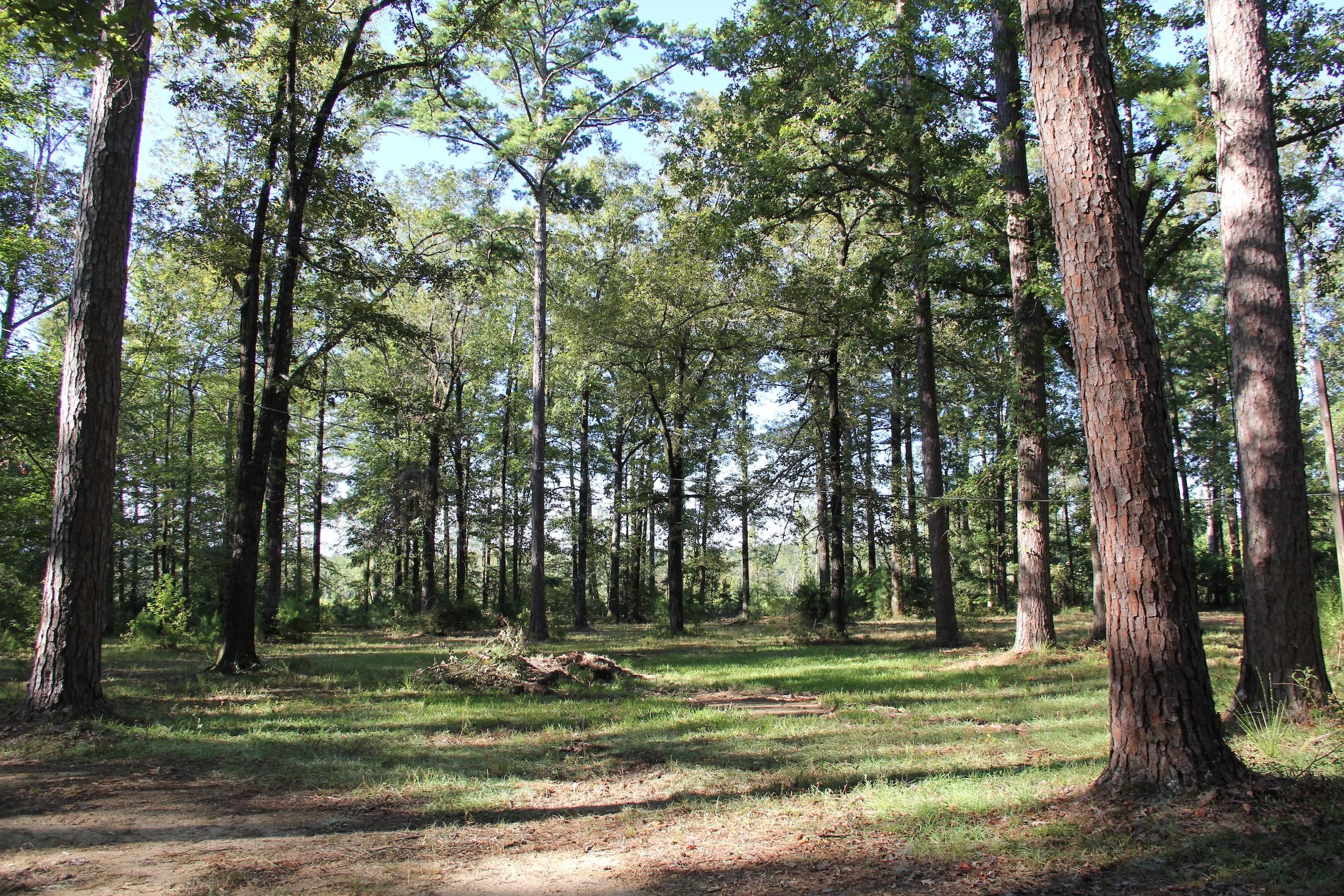 66 acres in Franklin County, Mississippi