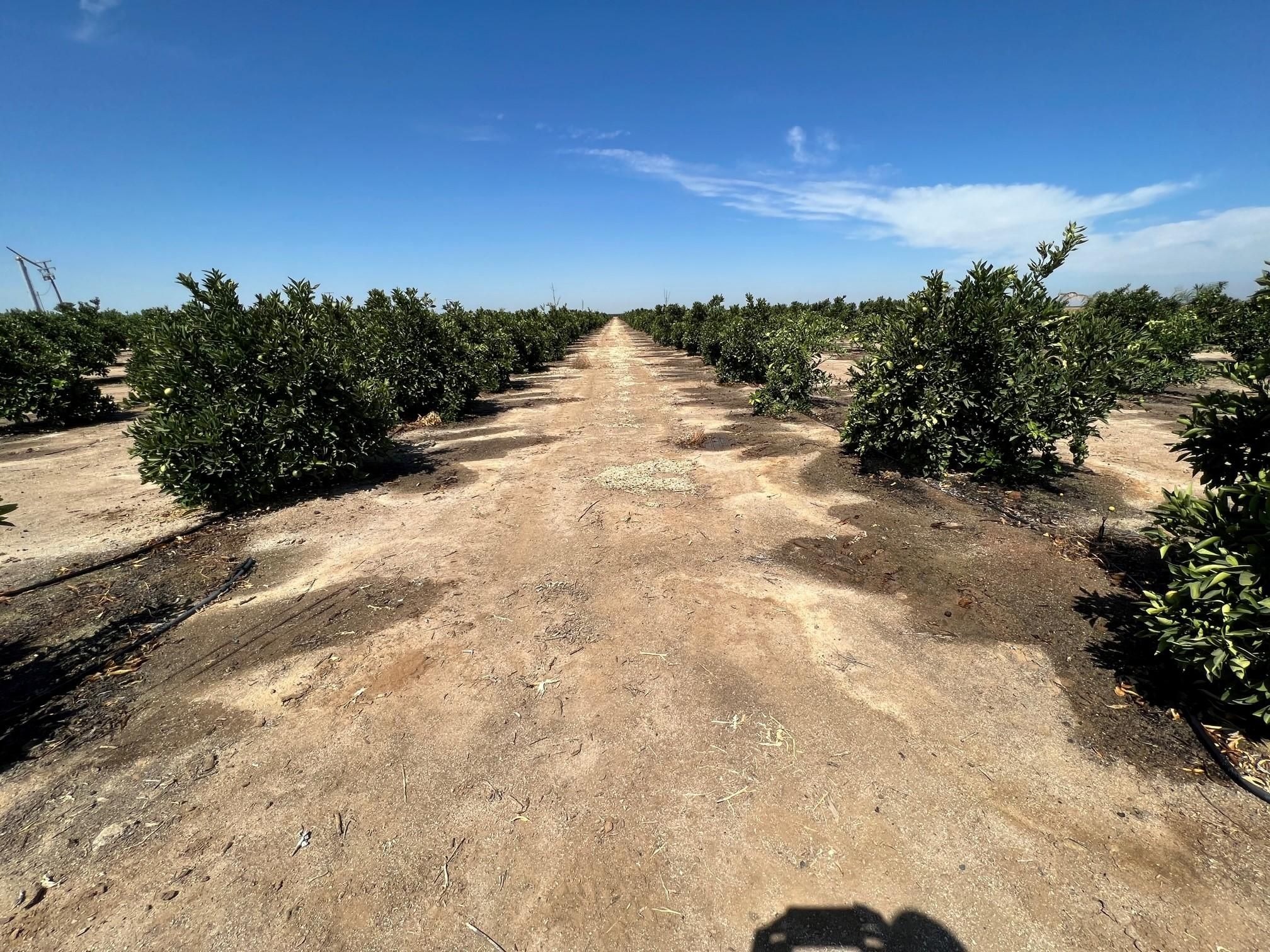 47.52 acres in Ducor, CA, 93218