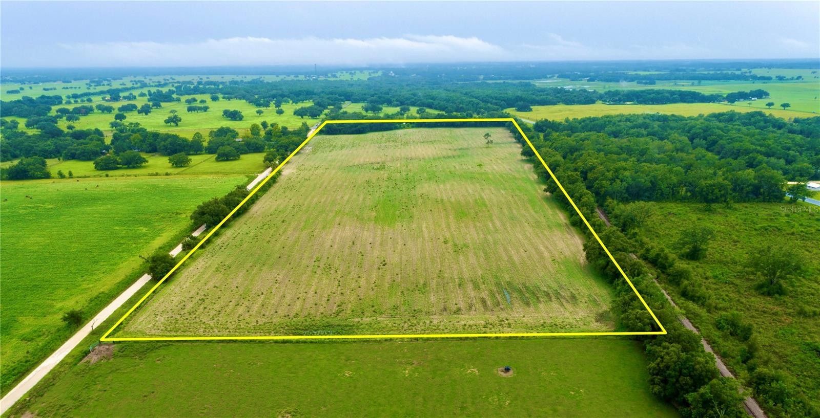40 acres in Levy County, Florida