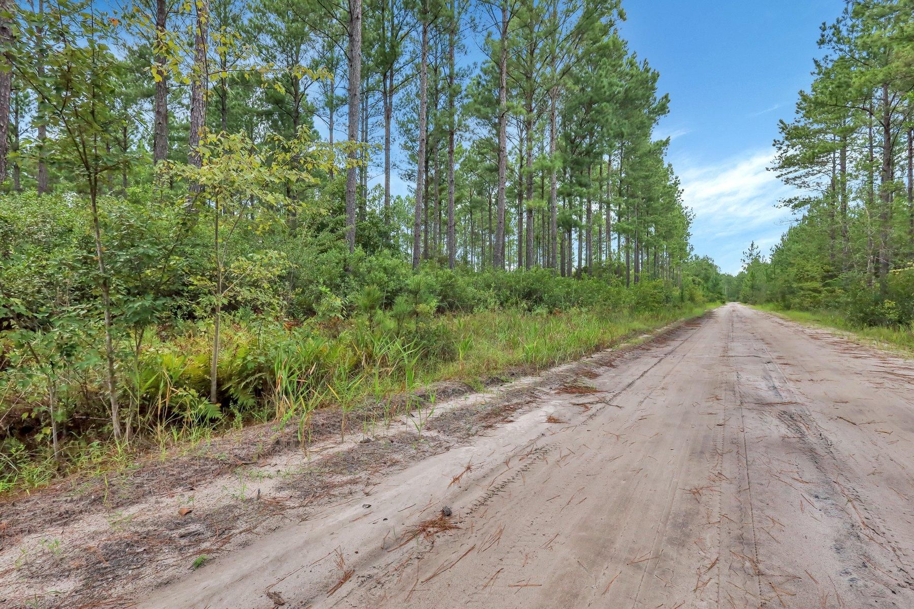 15 acres in Ware County,