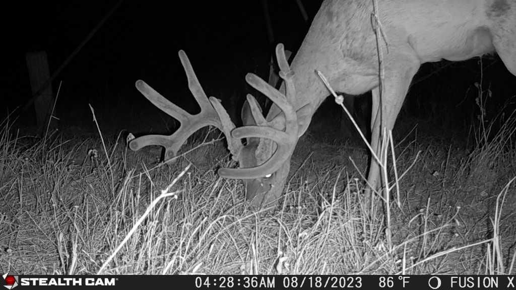 60 acres in Duval County, Texas