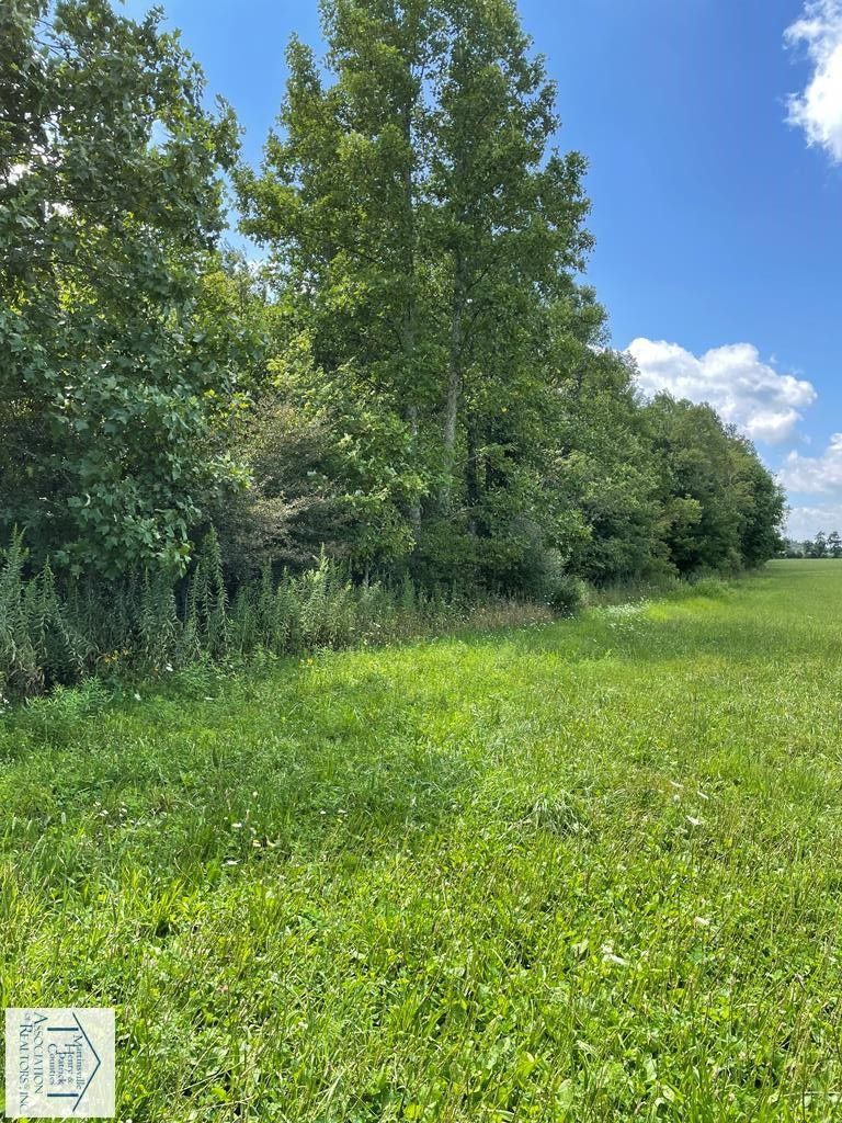 15.26 acres in Patrick County, Virginia