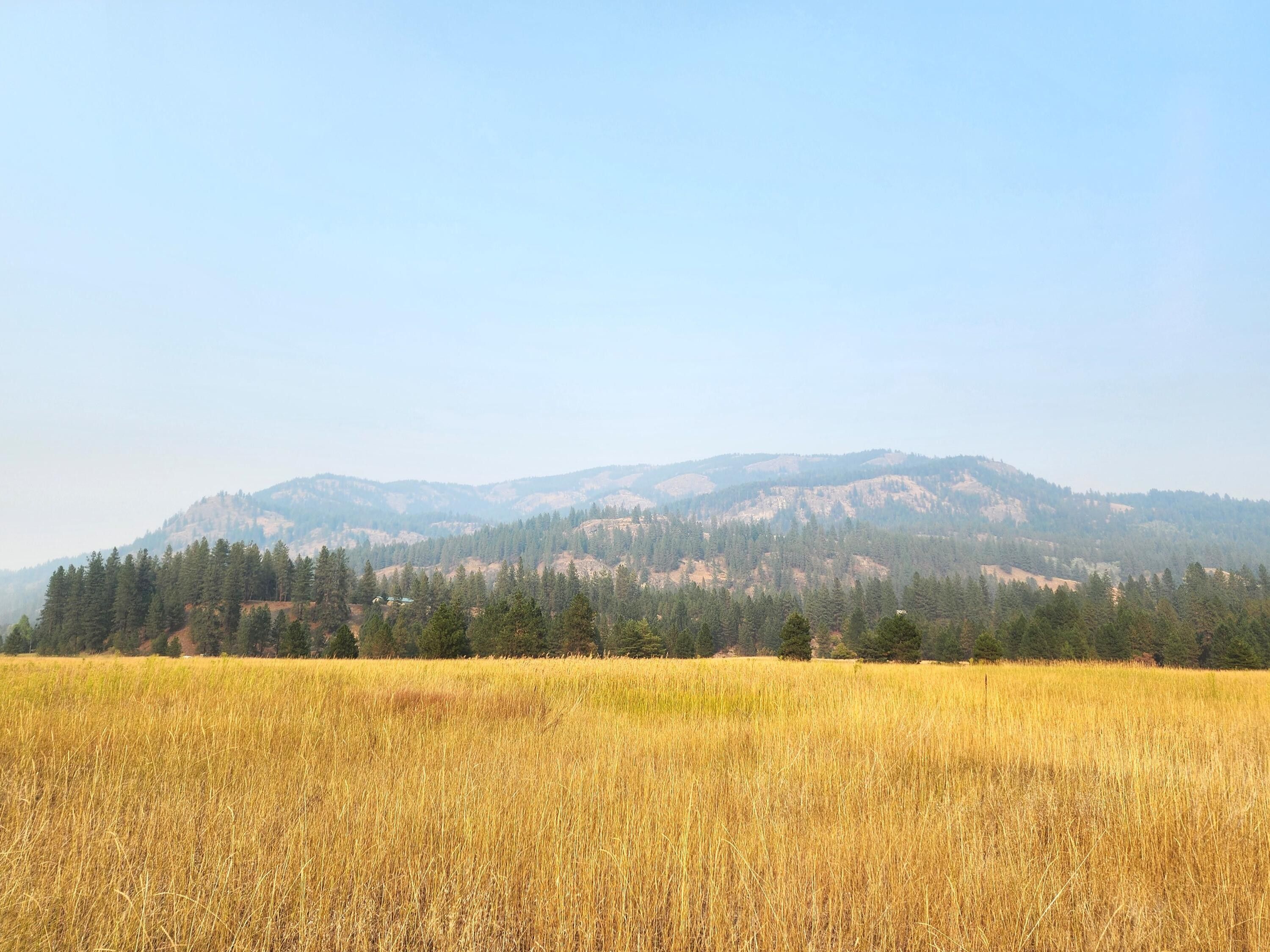 8 acres in Stevens County, Washington