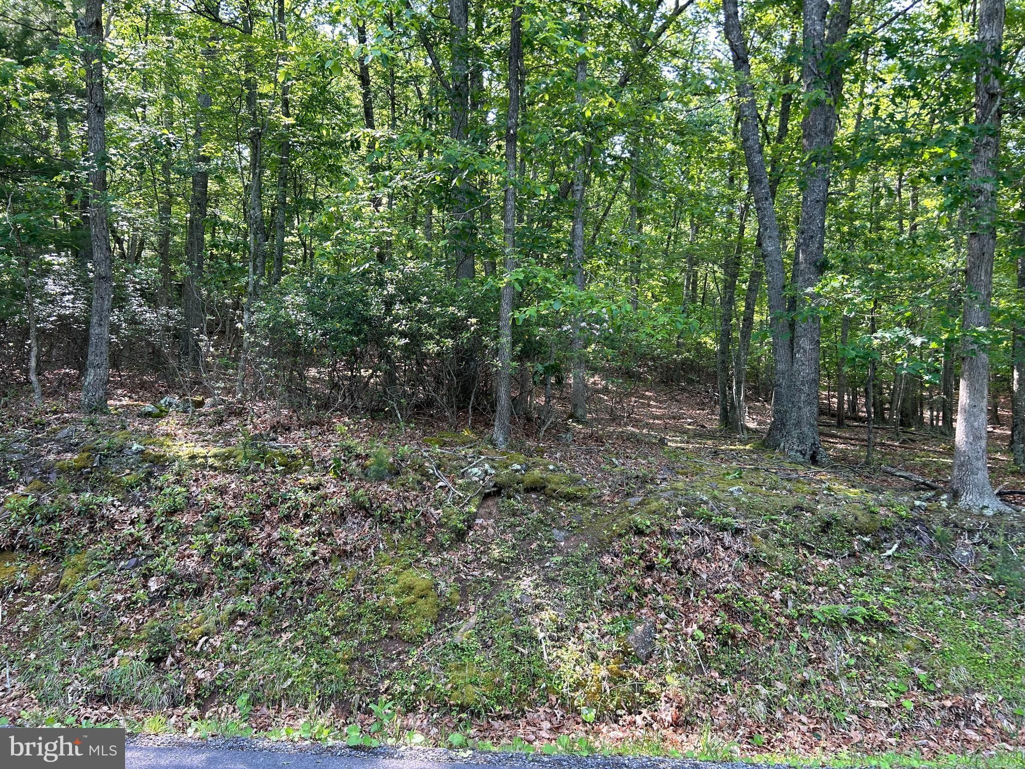 Gfkyunrestricted Land In Tennessee 46 - t5x0c8l