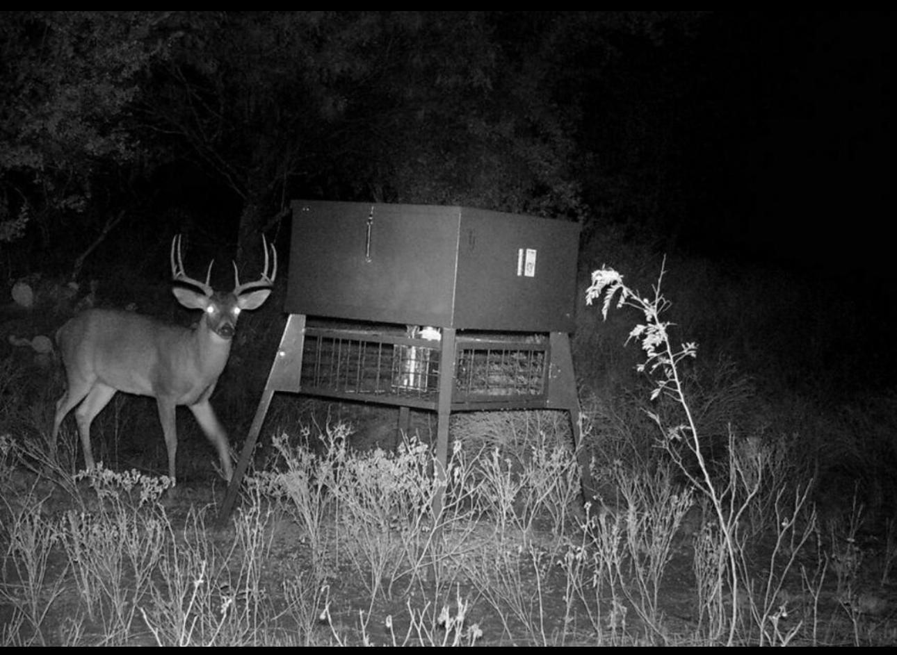 23.47 acres in Menard County, Texas