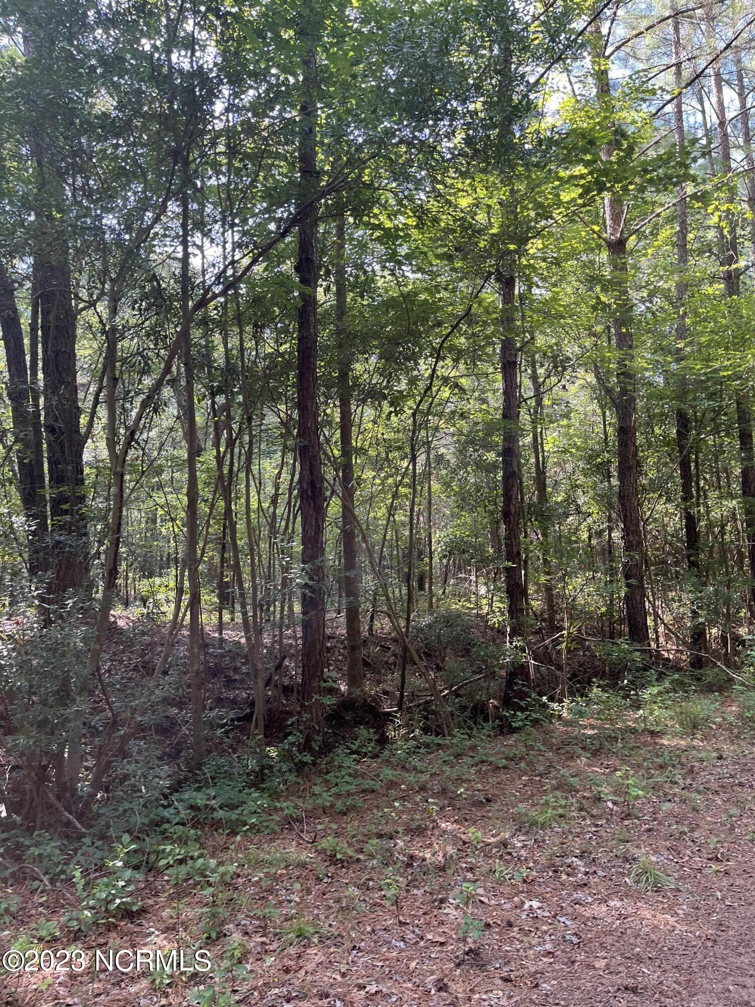 0.45 acres in Lenoir County, North Carolina