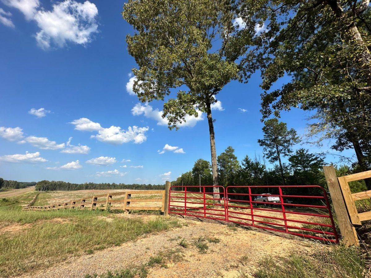 40 acres in Leake County, Mississippi