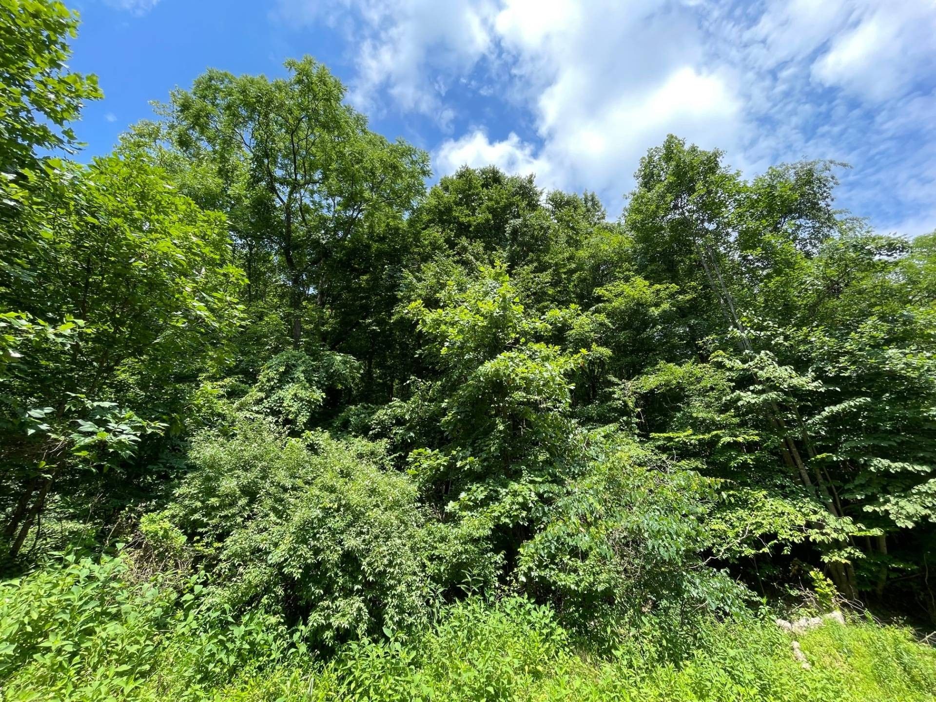 15 acres in Kanawha County, West Virginia