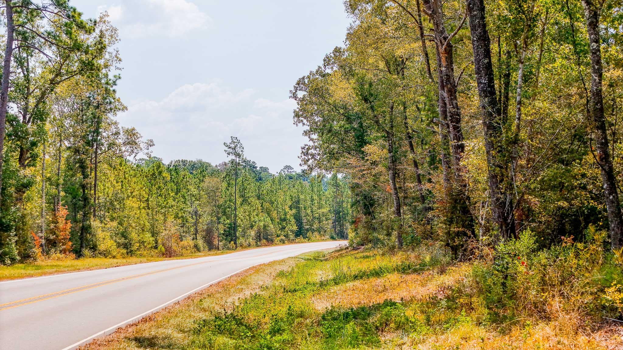 45 acres in Jasper County, Texas