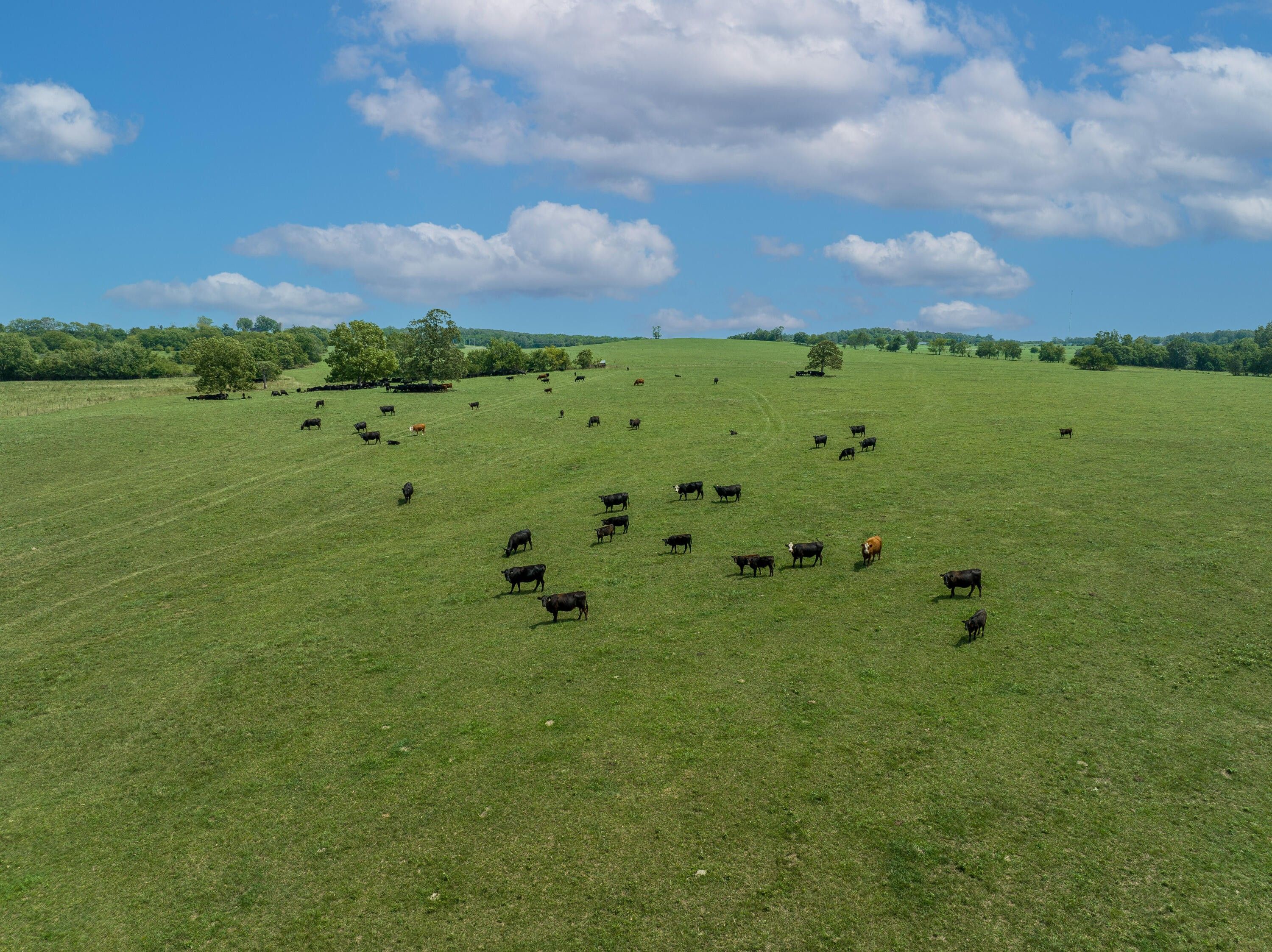 79 acres in Polk County, Missouri