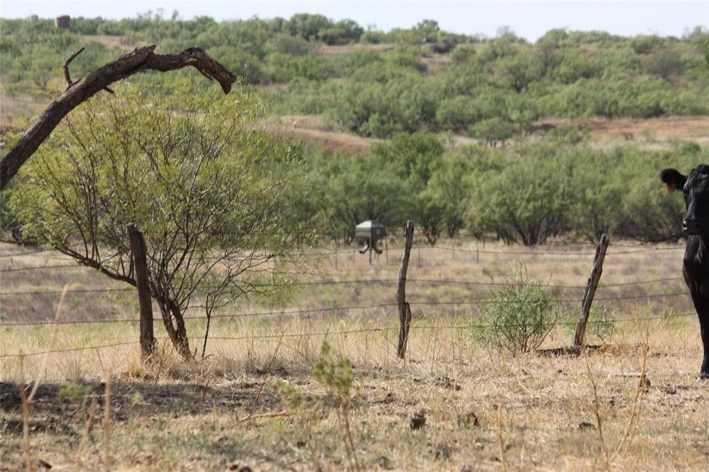 Tbd 1790, Seymour, TX 76380 MLS 20412320