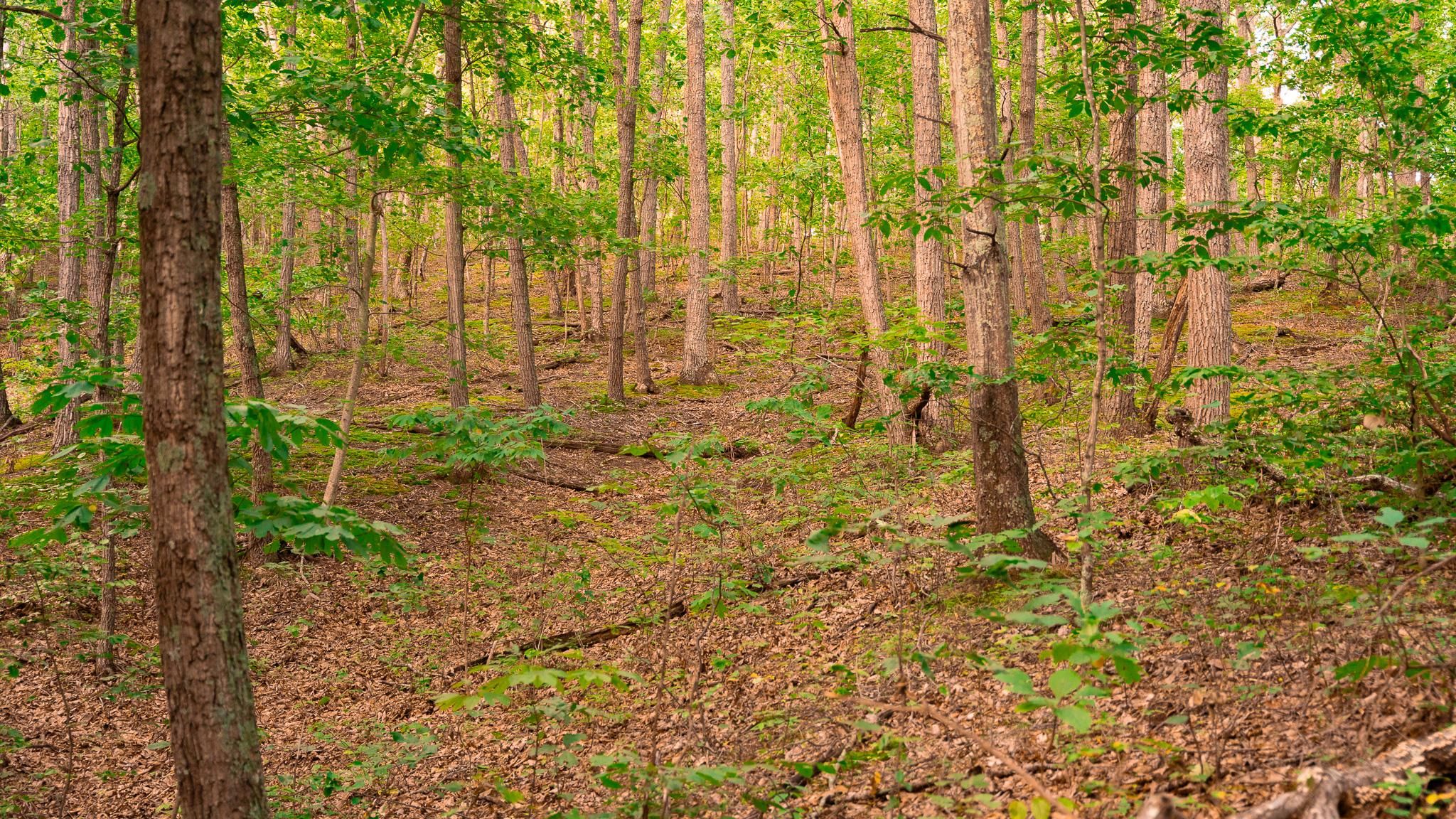 31 acres in Ross County, Ohio