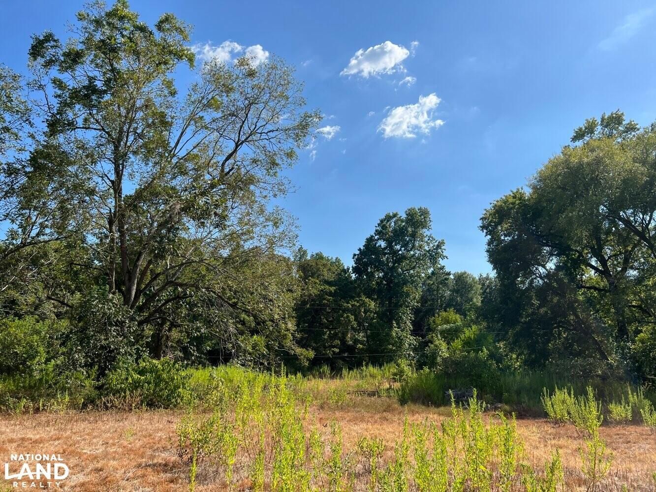 2 acres in Walker County, Texas