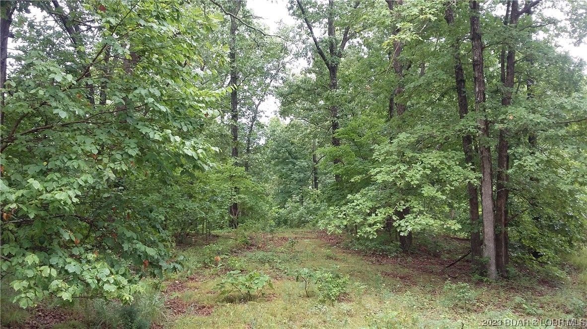 12.75 acres in County, Missouri