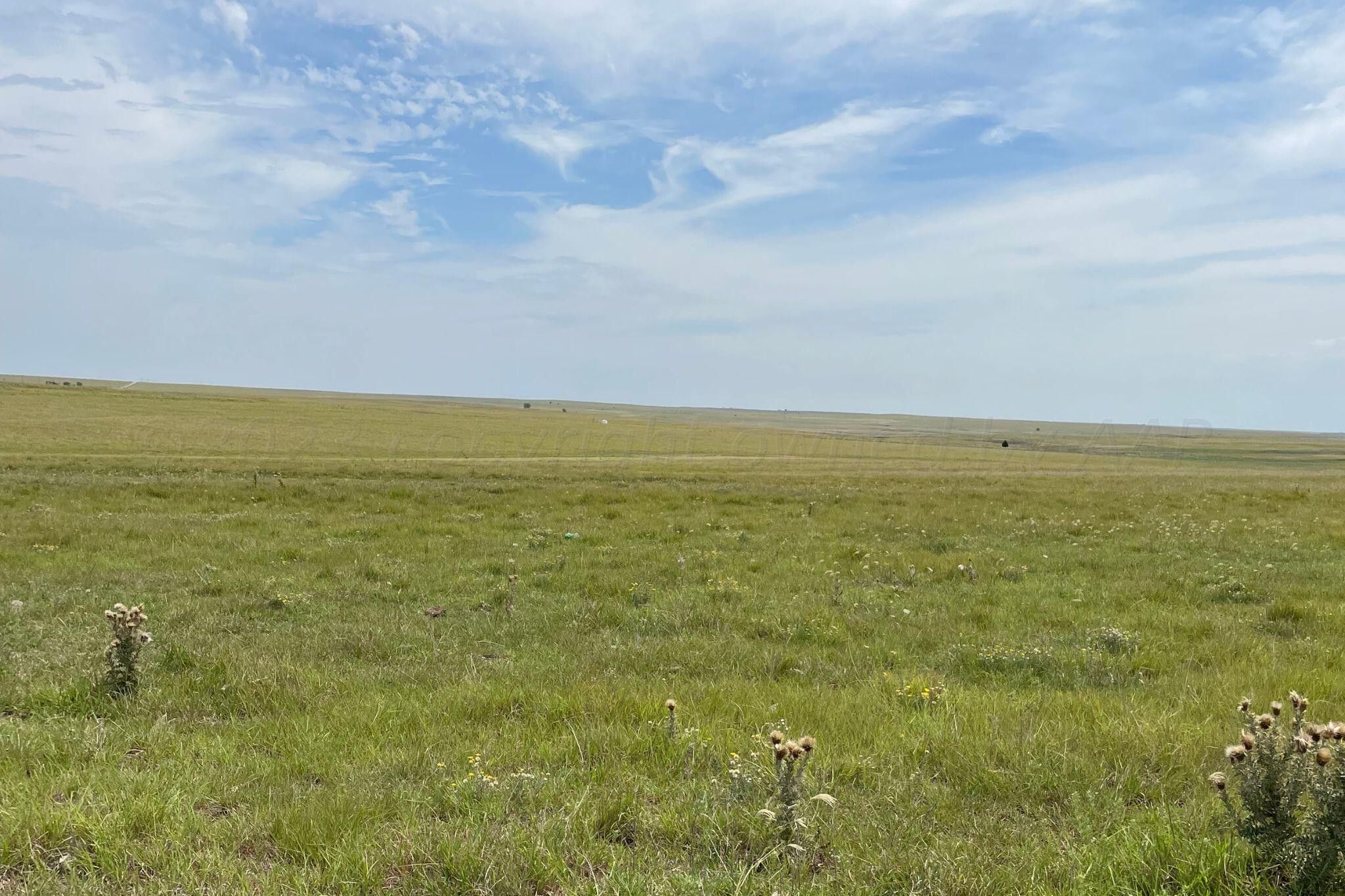 161 acres in County, Texas