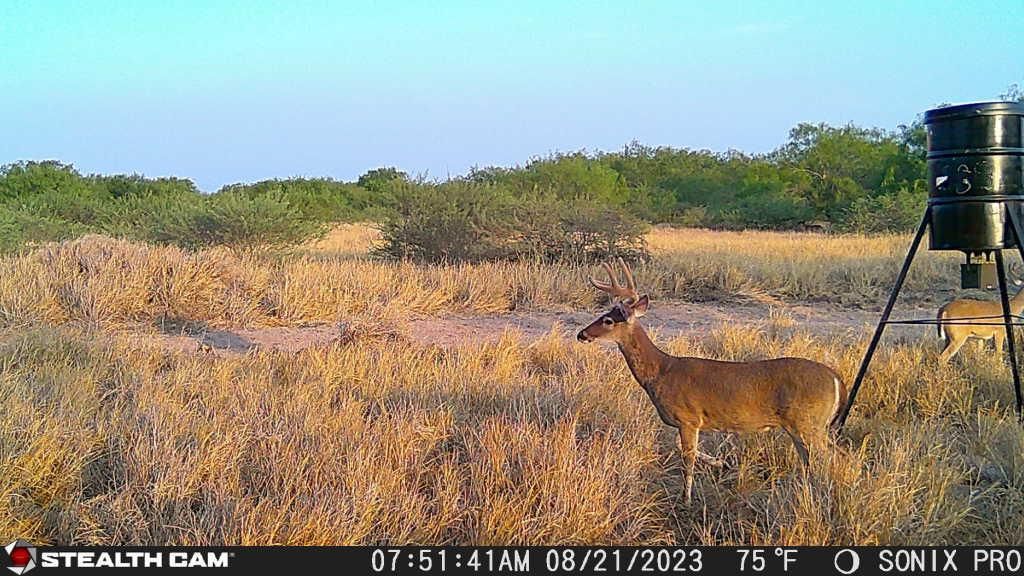 North of 14 Mile Line Road, McCook, TX 78541