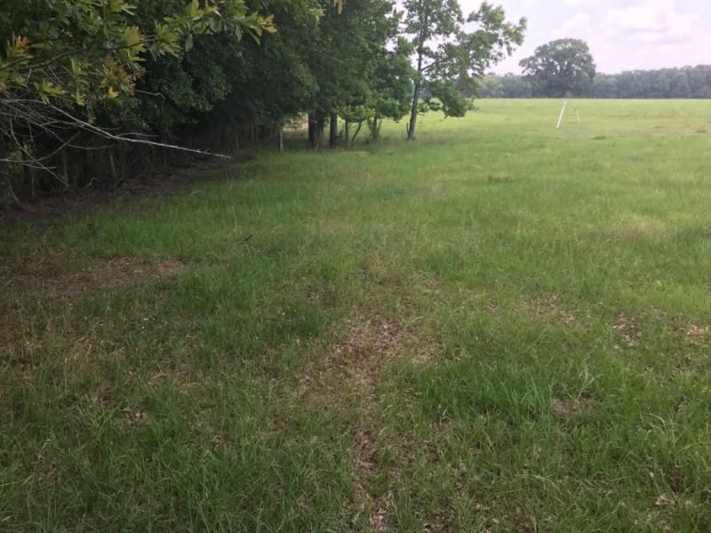 Terry, MS, Terry, MS 39170