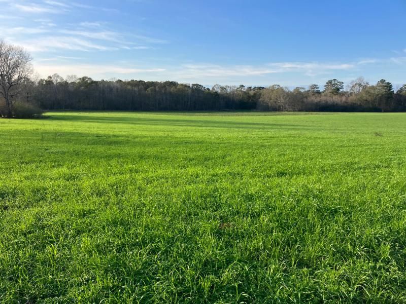 100 acres in Walthall County, Mississippi