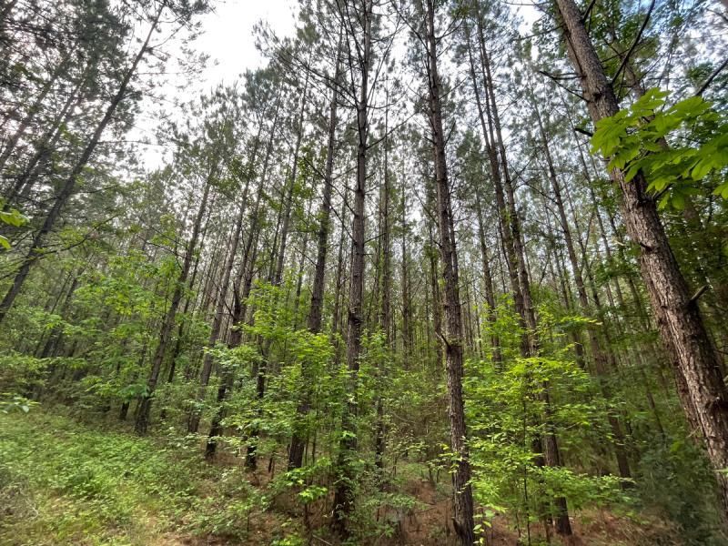 50 acres in Copiah County, Mississippi