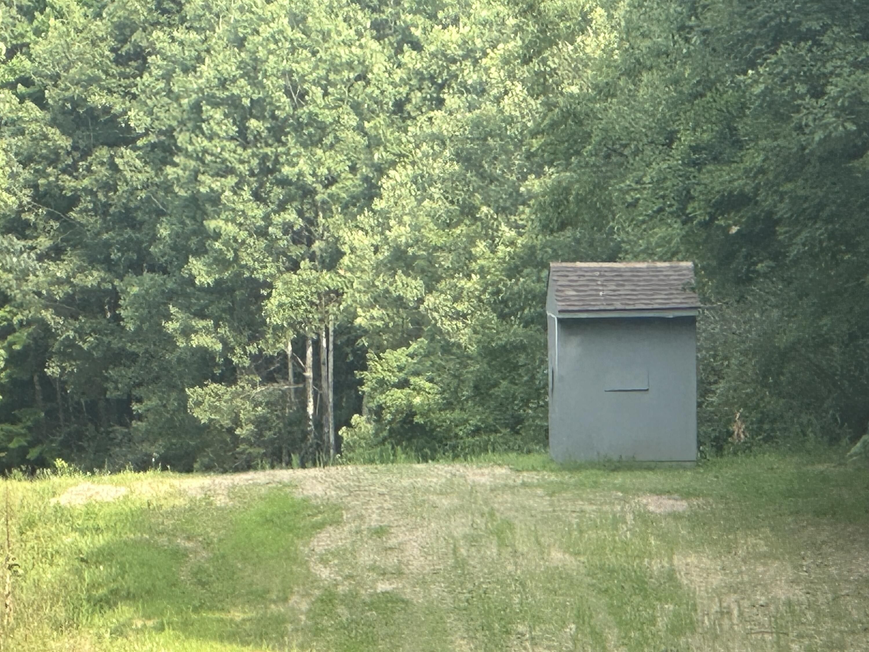 40 acres in Mecosta County, Michigan